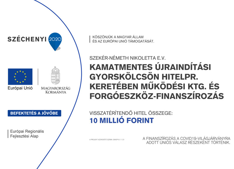 Széchenyi Pályázat